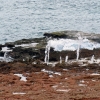 Zdjęcie z Kuby - Pseudo-gejzery (blow holes) niedaleko hotelu Carisol los Corales