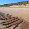 Zdjęcie z Australii - Maslin Beach