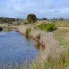 Zdjęcie z Australii - Nad strumieniem Pedler Creek