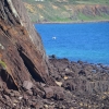 Zdjęcie z Australii - Czarne Klify Hallett Cove