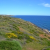 Zdjęcie z Australii - Rezerwat Hallett Cove