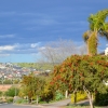 Zdjęcie z Australii - Osiedle Hallett Cove