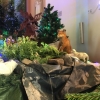 Zdjęcie z Polski - Górki Wielkie
