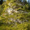 Zdjęcie z Polski - piękna skała, którą nazwałam "Omszona" 😊