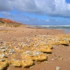 Zdjęcie z Australii - Pieknie i kolorowo