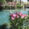 Zdjęcie z Turcji - Hierapolis