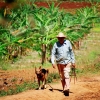 Kuba - Havana, Trinidad, Baracoa