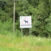 Zdjęcie z Polski - 
