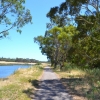Zdjęcie z Australii - Wzdłuż brzegów Okaparinga River