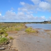 Zdjęcie z Australii - Rzeka Onkaparinga