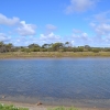 Zdjęcie z Australii - Rzeka Onkaparinga