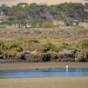 Zdjęcie z Australii - Daleko za rzeka widac kangurze suche pastwiska