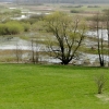 Zdjęcie z Polski - Widok na Biebrzę w Burzynie.