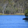 Zdjęcie z Australii - Barossa Reservoir 