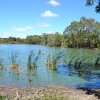Zdjęcie z Australii - Zielone stawy w Seaford Meadows