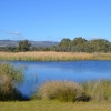Zdjęcie z Australii - Rozlewiska Aldinga Wetlands