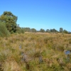 Zdjęcie z Australii - Rozlewiska Aldinga Wetlands
