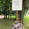 Zdjęcie z Polski - Bystra