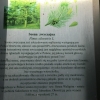 Zdjęcie z Polski - 