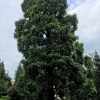 Zdjęcie z Polski - Bystra