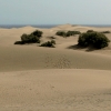 Zdjęcie z Hiszpanii - Wracamy do Playa del Ingles tą samą drogą, czyli promenadą.