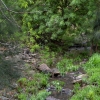 Zdjęcie z Australii - Strumien Patpa Creek