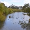 Zdjęcie z Australii - Wracam nad staw zasilony wodami strumienia Serpentine Creek po kilku tygodniach