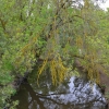 Zdjęcie z Australii - Strumien Serpentine Creek