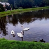 Zdjęcie z Polski - W Parku Zdrojowym