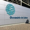 Zdjęcie z Portugalii - wg programu mamy tu wizytę w znanym Oceanarium, ale ja z tego rezygnuję... 