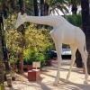 Zdjęcie z Portugalii - safari po lizbońsku, he he.... a żyrafka przeglądała sie w wielkim lustrze