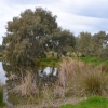 Zdjęcie z Australii - Wrzcam nad rozlewiska Kityaparri zasilane przez strumien Pedler Creek