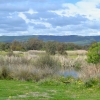 Zdjęcie z Australii - Z rozlewisk Kityaparri jade jakies 30 km do rozlewisk Hart Road Wetlands