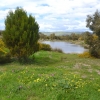 Zdjęcie z Australii - Rozlewiska Hart Road Wetlands