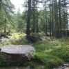 Zdjęcie z Włoch - nieśmiało