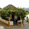 Zdjęcie z Portugalii - bugenwille, miliny, hortensje, róże....  oto kolory Obidos