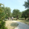 Zdjęcie z Włoch - park miejski