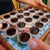 Zdjęcie z Portugalii - biuro, podobnie jak częstowało nas w Lizbonie ciasteczkami pasteis de belem