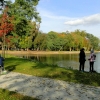 Zdjęcie z Polski - Park kończy się urokliwymi stawami.