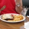 Zdjęcie z Polski - Mały, korfiański łakomczuszek w restauracji na szczycie Pantokratora.