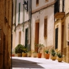 Zdjęcie z Hiszpanii - alkudyjskie uliczki słyną z urody- całe ukwiecony w roślinach 