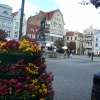 Zdjęcie z Polski - rynek