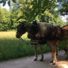 Zdjęcie z Polski - Park Mużakowski