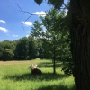 Zdjęcie z Polski - Park Mużakowski