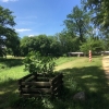 Zdjęcie z Polski - Park Mużakowski