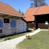 Zdjęcie z Polski - Wchodzimy na teren posesji...