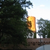 Zdjęcie z Polski - Łagów