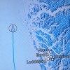 Zdjęcie z Norwegii - MSC Grandiosa