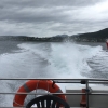 Zdjęcie z Norwegii - 