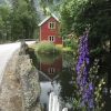 Zdjęcie z Norwegii - Flam